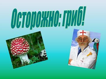 Осторожно: гриб!